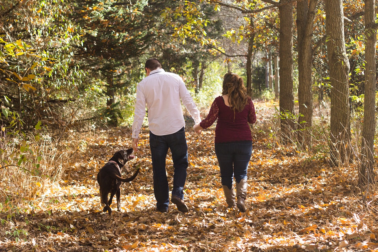 10 Simple Crafts for Celebrating National Family Caregivers Month